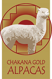 Chakana Gold Alpacas